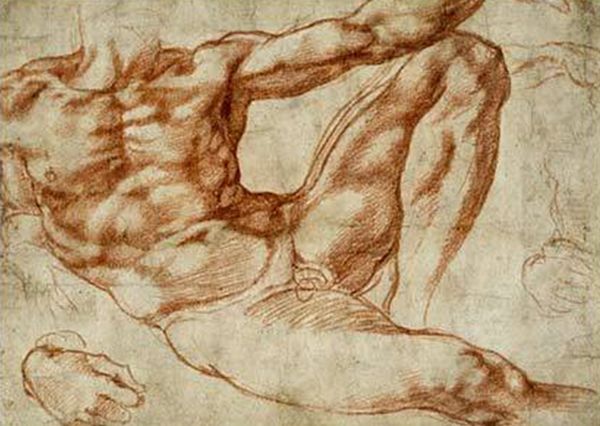 MICHELANGELO ADAM STUDIU