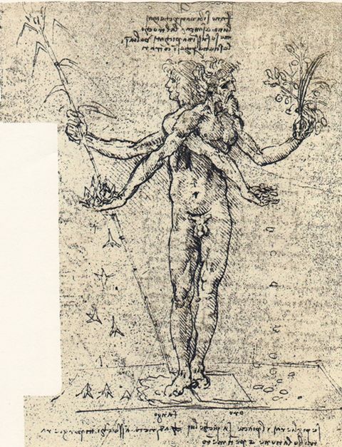 PLACEREA SI CHINUL LEONARDO DA VINCI