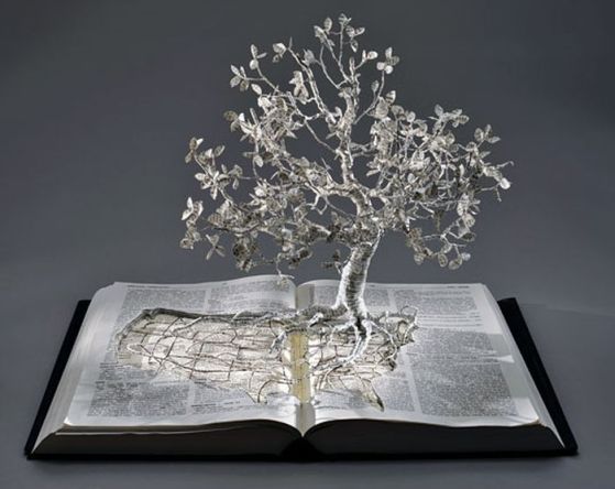 RĂDĂCINA CUVINTELOR