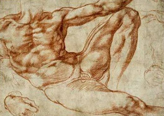 CREAREA LUI ADAM STUDIU