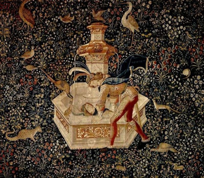 Narcis privindu-se în fântână