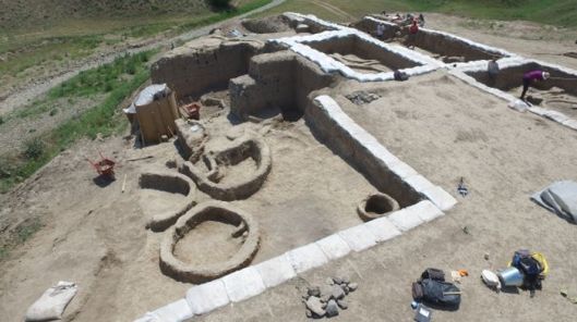 CEL MAI VECHI VIN DIN LUME 1