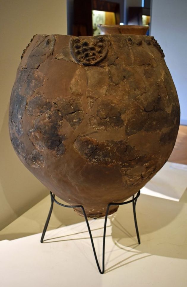 CEL MAI VECHI VIN DIN LUME 2