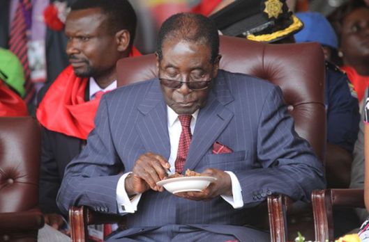 ROBERT MUGABE 7