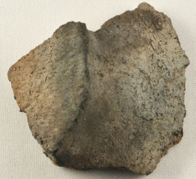 VIN VECHI 8000 DE ANI 3