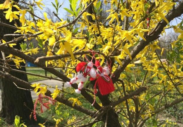 MĂRTISOR BULGĂRESC