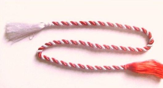 SNUR DE MARTISOR 1